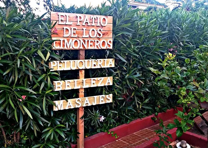 Montreal Hotel Benicàssim
