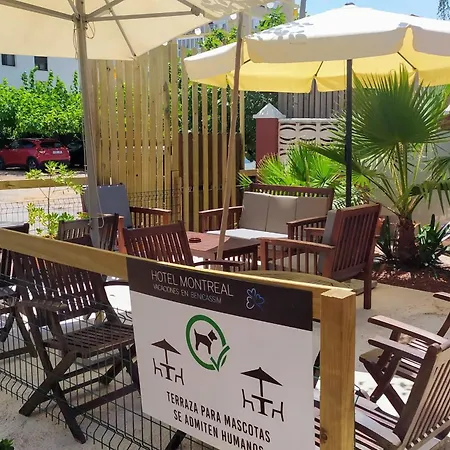Montreal מלון Benicàssim